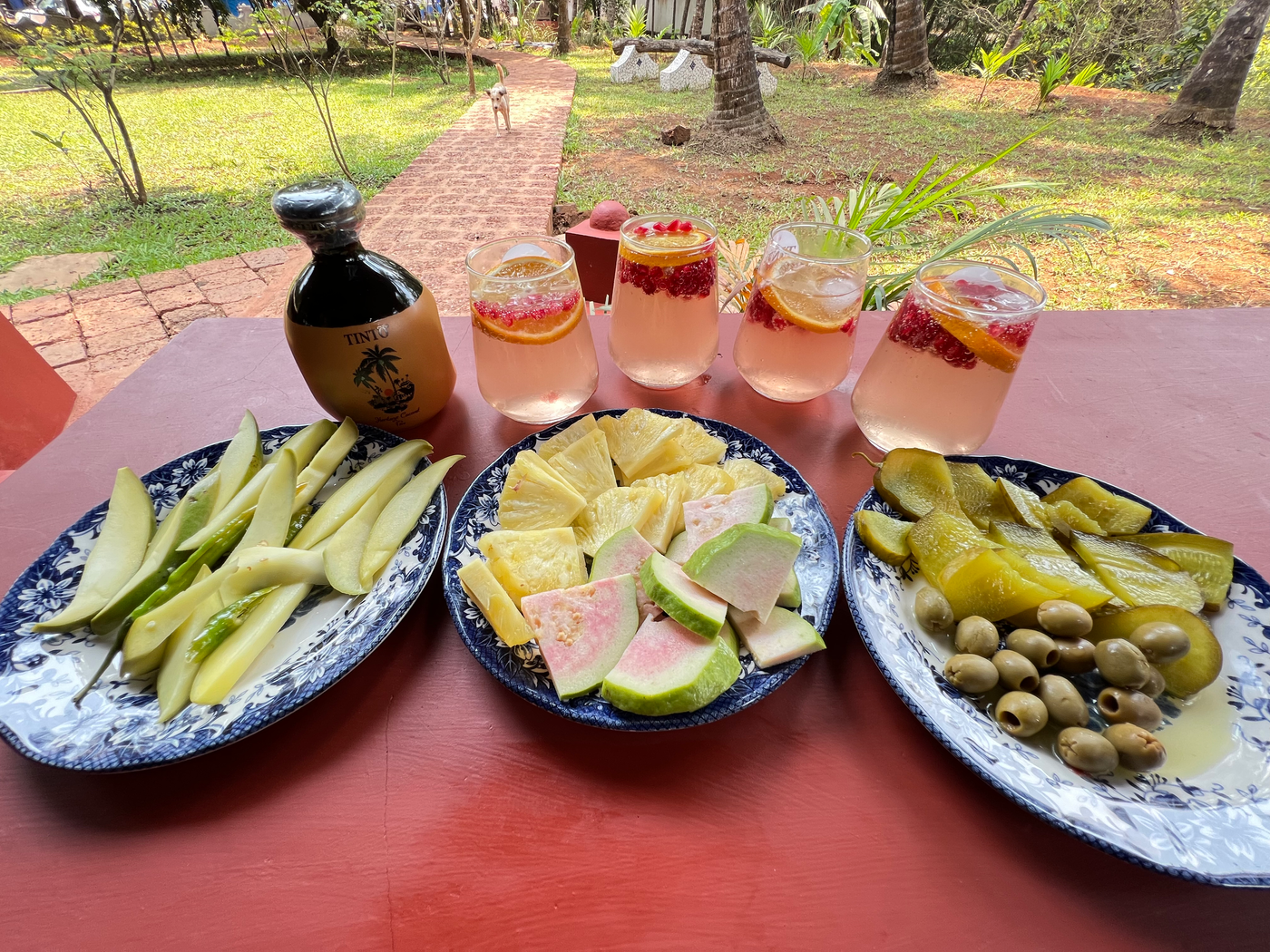 Feni Tasting by the Riverside — 3